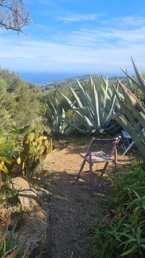 Casa Merea 16 Costa d'Oneglia Zewnętrze zdjęcie