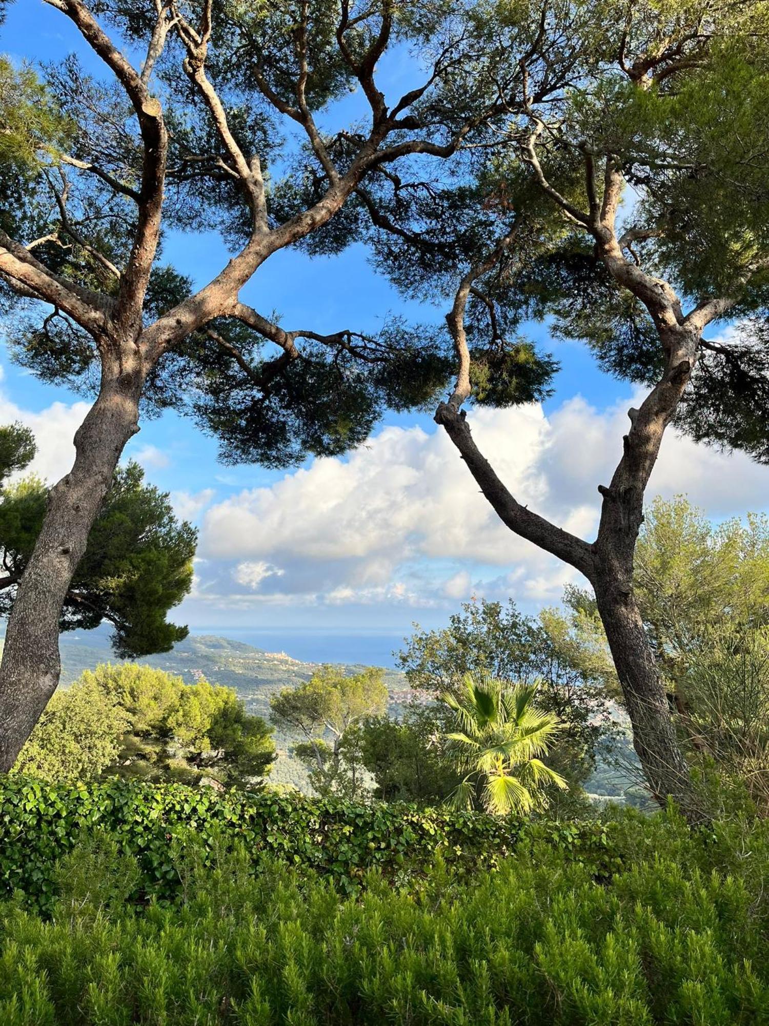 Casa Merea 16 Costa d'Oneglia Zewnętrze zdjęcie